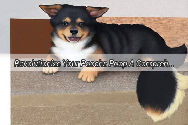 Revolutionize Your Poochs Poop A Comprehensive Guide to Treating Canine Constipation with the Perfect Prescription